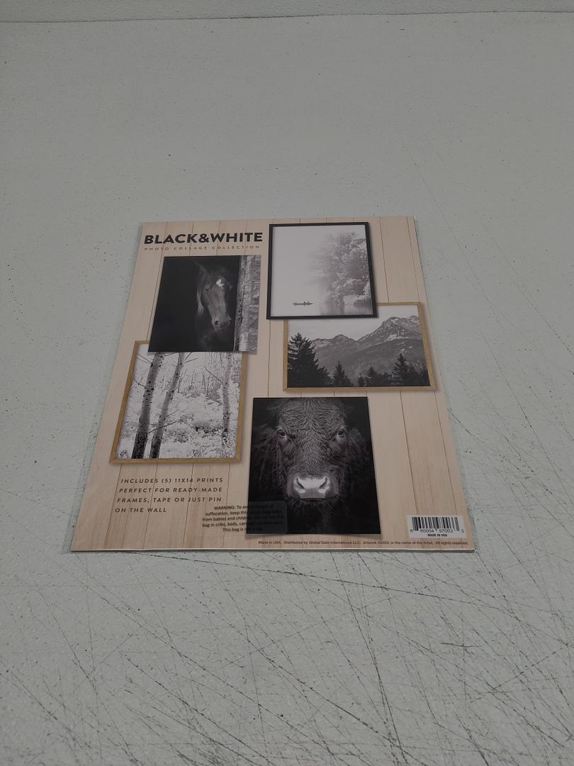 Black&White Photo Collage Collection Includes (5) 11x14 Prints