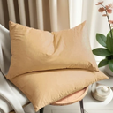 baisihan Down Feathers Pillows Standard Size Set of 2 Hotel Collection Bed Pillows | Feather-Proof 1000+ Clean | Naturally Resilient Pure | Pillows for Side, Back & Stomach Sleepers, 20"x36" 2 Pack