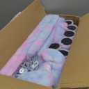 MIAO PAW Rainbow Cute Cat Tree for Indoor Cat Tower with Scratching Post Modern Activity House Hammock Hanging Ball Condo with Board (40.7")