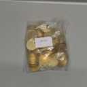 Gisafai 200 Pcs Solid Brass Tags for Stamping Round Brass Tags Blank Valve Gold Stamping Blanks Tag with Hole for Pets Plants Doors Pipe Valves Equipment Tool and Keys Labeling (1.25 Inch)