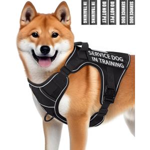 Service Dog Vest for Medium Dogs, Service Dog in Training Harness with Patches, Full Metal Buckles Adjustable Dog Vest for Training Walking