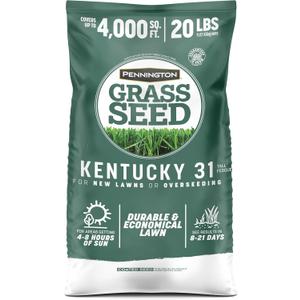Pennington Kentucky 31 Tall Fescue Grass Seed 20 lbs