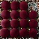 15 Pcs Velvet Christmas Balls Bulk Flocked Christmas Tree Ball Ornaments Plastic Xmas Decorative Hanging Ornaments (Burgundy)