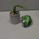 16" Small Fake Plants Artificial Tropical Faux Plants Indoor for Office Desk Shelf Bathroom Home Decor