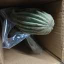 Artificial Cactus Fake Big Cactus 24 Inch Faux Cacti Plants for Home Garden Office Store Decoration