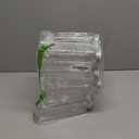 12 Pack 20 Ounces Clear PET Plastic Juice Bottles Empty Rectangual Bottles with Lids for Juice, Milk, Tea and Other Beverages