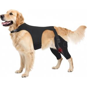 Dog Knee Brace for Torn ACL Hind Leg, Large