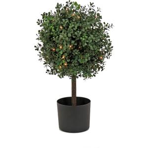 National Tree Company 2 ft Prelit Artificial Boxwood Single Ball Topiary with 50 Clear Lights, Realistic Fake Tree Potted Plant, Matte Black Nursery Pot