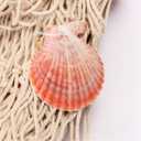 Nature Fish Net Wall Decoration with Shells, Ocean Themed Wall Hangings Fishing Net Party Decor for Pirate Party,Wedding,Photographing Decoration (Fishnet-2pack-Beige)
