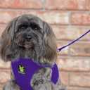 EcoBark Step in Dog Harness - Eco-Friendly Dog Harnesses for Dogs - Reflective and Adjustable Chest Body Halter Vest -Soft Luxurious Mesh (Purple, XL)