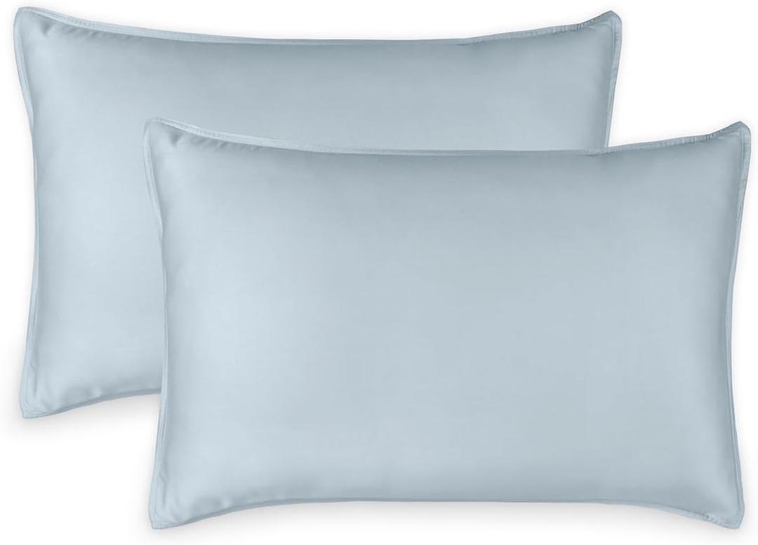 Queen Pillowcases by Pure Bamboo, Genuine 100% Organic Viscose Derived from Bamboo, Luxuriously Soft & Cooling, Double Stitching, Envelope Closure (2 Queen Pillowcases, Glacier)