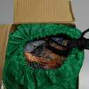 Inflatable T Rex Costume Kids,Blow Up Full Body Dinosaur Suit,Halloween Costumes for Boys Girls (6-7YRS)