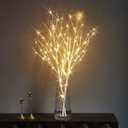 LITBLOOM Lighted White Twig Branches 32IN 100 LED with Timer Battery Operated, Artificial Tree Branch with Warm White Lights for Holiday Xmas Home Decoration Indoor Outdoor Decor