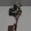 Hairui Lighted Eucalyptus Branches with Timer 24IN 36 LED Battery Operated for Wedding Christmas Party Home Spring Decor (Vase not Included)