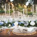Lvydec 2 Pack Artificial Peony Flower Garland - 6ft Silk Peony Vine Willow Leaves Garland Blue and White Arch Flower Vine for Wedding Party Table Decoration (Blue)