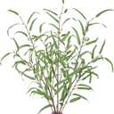 Briful 44.5 Tall Faux Eucalyptus Stems  Realistic Artificial Greenery Stems 3PCS Seeded Willow Eucalyptus Stems Brown Branches for Home, Office, Wedding, Bouquet, Centerpiece, Christmas Decoration