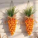 2 Pack Easter Tulip Carrot Wreath Decoration, 24 Inch Spring Artificial Orange Carrot Wreath Decor with Green Branches Spring Flower and Easter Egg for Home Door Wall Mantel Window Decor