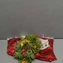 Princess Costume for Girls,Ocean Adventure Princess Dress with Accessories,Kids Halloween Princess Dress Up (3-4 Years, Red)