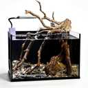 2.8 Gallon Glass Small Fish Tank, Nano Nature Aquarium Starter Kit with Pedestal Base, Light and Filter, Ultra Clear Desktop Fish Tank for Small Fish, Shrimp, Goldfish, or Betta, Black