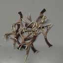 Fun Express Deer Antlers Resin Table Decorations 12 Pack - Realistic Faux Antler Decor for Forest Woodland Christmas Party | Rustic Wedding Centerpieces & Hunting Lodge Themed Events