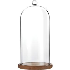 Farmlyn Creek Glass Dome Cloche Display Case - 5.1 x 5.1 x 10 in, Clear Dome & Wood Base - Cloche & Glass Cover - Succulent & Collectible Display