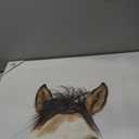 Giant Art Canvas 20x22 Eyes Up Framed In Pink