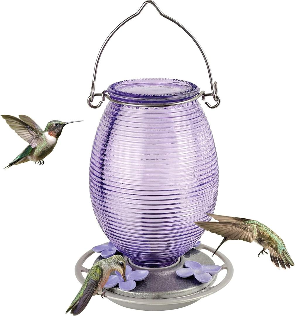 Nature's Way Hanging Glass Hummingbird Feeder for Outdoor Decor, 29 Ounce Capacity Nectar Feeder, 4 Easy to Clean Flexible Ports, Purple Lilac (No Color)