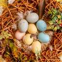 16 pcs Plastic Easter Eggs Decor,2.4in Easter Speckled Eggs for Bowl and Vase Filler Basket,Pastel Easter Decor DIY Easter Spring Home Party Favors and Table Decorations