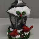 Christmas Snow Globe Lantern Cardinals Water Glittering Globe with 6H Timer Function Christmas Snow Globes 3 AA Battery Operated for Christmas Festival Decorations Gifts (Cardinals)