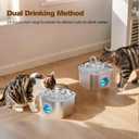 Cat Water Fountain Stainless Steel: Pet Fountains for Cats/Dog Indoor Automatic Waterer Bowls for Drinking Small Animal Water Dispenser Metal Pets Watering Faucet Bottle Auto Kitty Watering Supplies