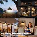 Bailoch 2 Pack Black Portable Battery Operated Hanging Lights, Rechargeable Wireless Outdoor Pendant Light with Remote, Battery Powered Chandelier Lantern Fixture for Indoor Outdoor Gazebo Porch Patio