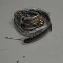 TRIWORKS 2 Pack Women Leather Belt for Jeans Pants Fashion Ladies Skinny Faux Leather Belt with Gold Buckle (Length:39.4''-Fit Waist Size 26"-31", Black+coffee)