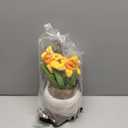 Russ Greenhouse 12-Inch Daffodil Plush - Seasonal Official Jazwares Plush - Ages 3+