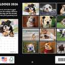 Bulldog Calendar 2026 Wall 12 Month Monthly Bull dog Gifts For Bulldog Lovers Women Men Mom Dad | American Made In The USA