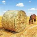 Round Bale Hay Net 4x4ft LargeRound Bale Hay Nets for Horses HeavyDuty Slow Feed Hay Net Black KnotlessDesign for Horse, Cattle, Goat