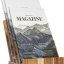 Acacia 8.511 Inch Magazine Display Stand 4-Tier For 69 inch Brochure Pamphlet Flyer Menu Holder Countertop Display Stand Literature Organizer For Office Home (Wood Color Acacia Wood)