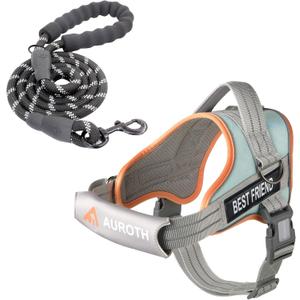 AUROTH Dog Harness and Leash Set, Soft Padded Service Dog Vest with 5.25FT Dog Leash, No Choke, Easy On Pet Vest, Adjustable Reflective No Pull Pet Vest Medium Sized Dog, Easy Walking and Training