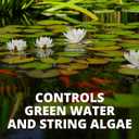 Tetra Pond AlgaeControl 16.9 Ounces, Controls Green Water And String Algae In Ponds (77187)