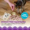 Catstages Snuffle Mat for Cats - Interactive Foraging Toy with Hidden Treats, Non-Slip Base, and Hunting Stimulation for Mental and Physical Activity