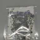 50 Pcs Natural Forget Me Not Pressed Dried Flowers Blue Don't Forget Me Dried Flower Real for Resin Jewelry Candle Card Making Nail Art DIY Home Decoration