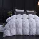 Three Geese Pinch Pleat Waterfowl Feathers and Down Comforter Queen Size Duvet Insert,750+ Fill Power,1200TC 100% Cotton, Premium All Seasons White Warm Hotel Comforter with 8 Tabs. (White Twisted Flower)