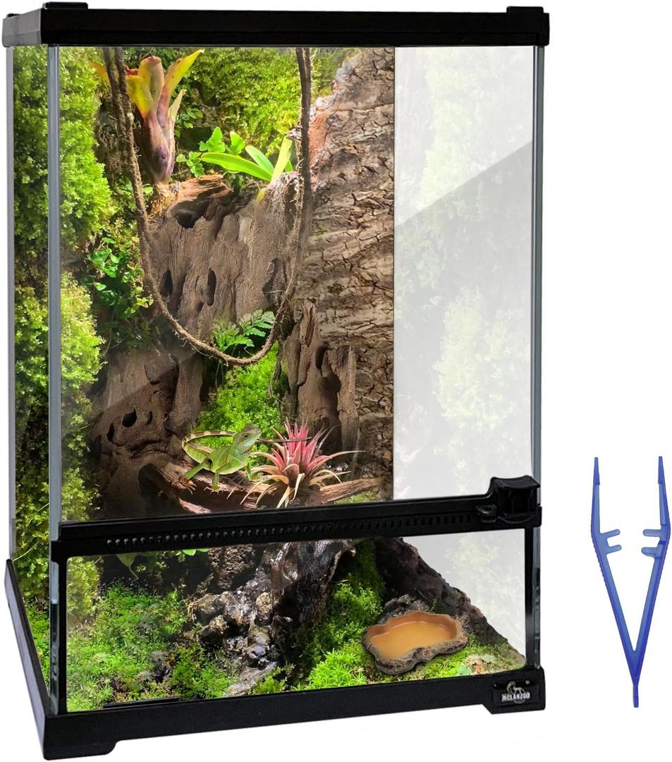 Reptile Glass Terrarium Tank 10 * 10 * 14in, Full View with Front Opening Door,Amphibians Enclosure Habitat Cage for Crested Gecko,Spider,Tarantula,Lizard,Hermit Crab,Frog,Mantises,Insects