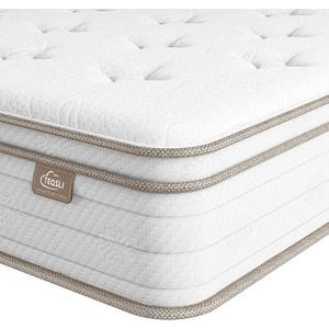 TeQsli 10 Queen Mattress