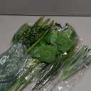 Waipfaru Artificial Plants Outdoor UV Resistant, Realistic Fake Plants Artificial Greenery, Large Bunches Faux Plants for Indoor Outdoor Porch Patio Garden Spring Summer Home Decor (Large 10pcs)