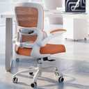 TRALT Office Chair - Ergonomic Desk Chair with Adjustable Lumbar Support, Mesh Computer Chair, Executive Chairs for Home Office Comfortable Lumbar Support (Orange)