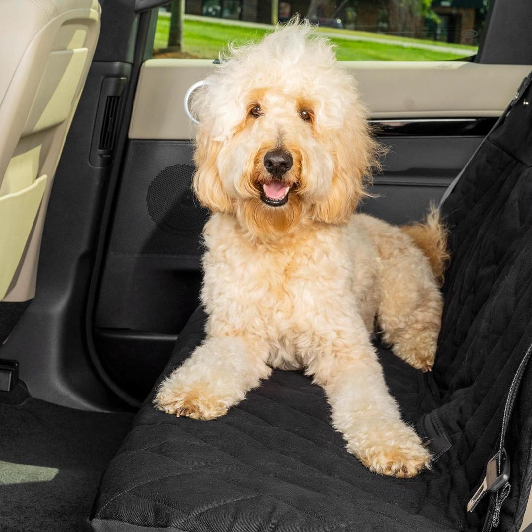 PetSafe Happy Ride Quilted Bench Seat Cover - Long-Lasting Waterproof Padded Backseat Protection with Secure Seatbelt Access - Keeps Leather Seats Clean & Protects from Scratches (Standard, Black)