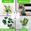 OSANI 24" Gooseneck Long Arm Grow Light, 48" Wide Coverage, 6000K Full Spectrum LED Grow Lights for Indoor Plants with Red Blue LEDs, 10-Level Dimmable, Auto Timer, USB & Adapter, Grow Lights Indoor