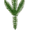 Christmas Tree Branches Filler for Crafts Christmas Greenery Picks Artificial Berry Stems Green Plants Pine Needles DIY Accessories for Xmas Winter Holiday Floral Arrangement Decor (Leaves)