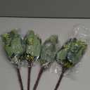 Yoratee Artificial Eucalyptus Stems 24PCS Mixed Eucalyptus Greenery Stems Silver Dollar Leaves with White Seeds Green Plants Wedding Bouquet Green Decor Flower Arrangement (Mixed Round Leaves)