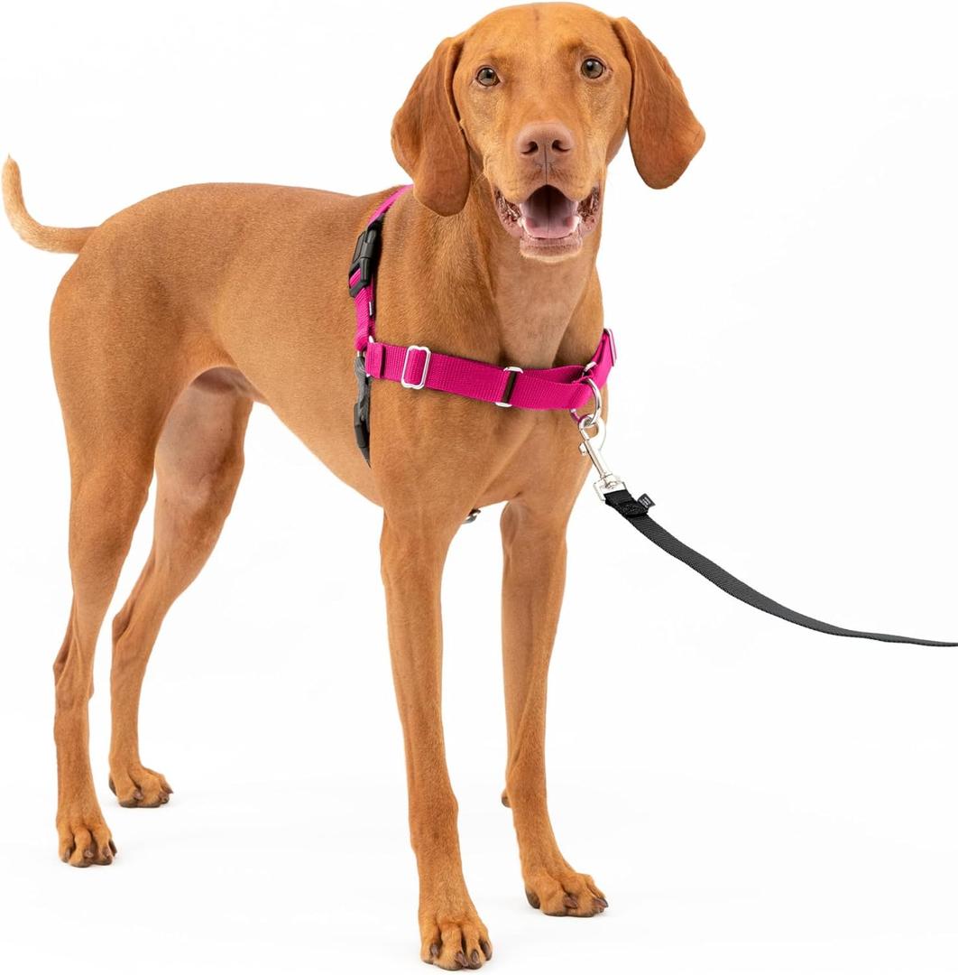 PetSafe Easy Walk Harness for Dogs - Pull-Free Walks - Patented Martingale Loop Design - Front Chest Leash Attachment - Adjustable Comfort Straps - Breathable Harness Design - Medium, Raspberry/Gray
